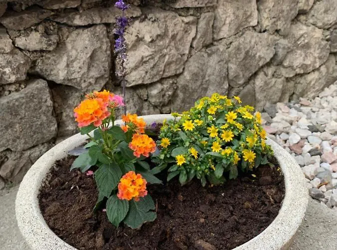 아파트 Apartma Kemper *